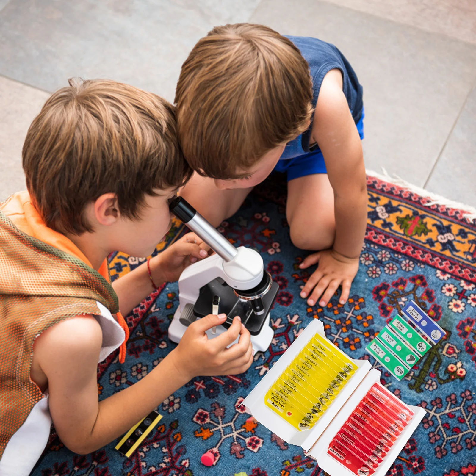 48 قطعة مجموعة عينات متنوعة شرائح مجهرية مُجهزة لاستكشاف العلوم عينة منزلق بيولوجي مجهر