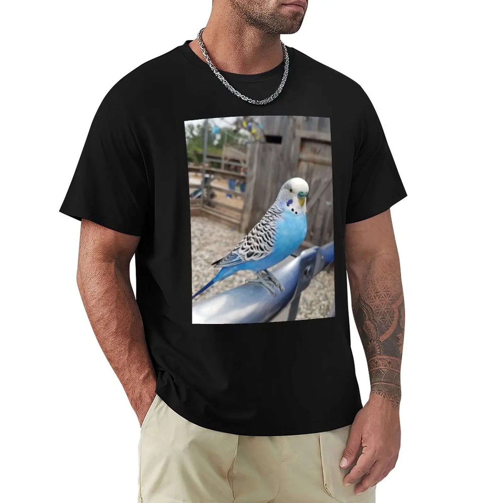 Blue & White Parakeet Sitting T-Shirt t shirts for man graphic vintage T-Shirt