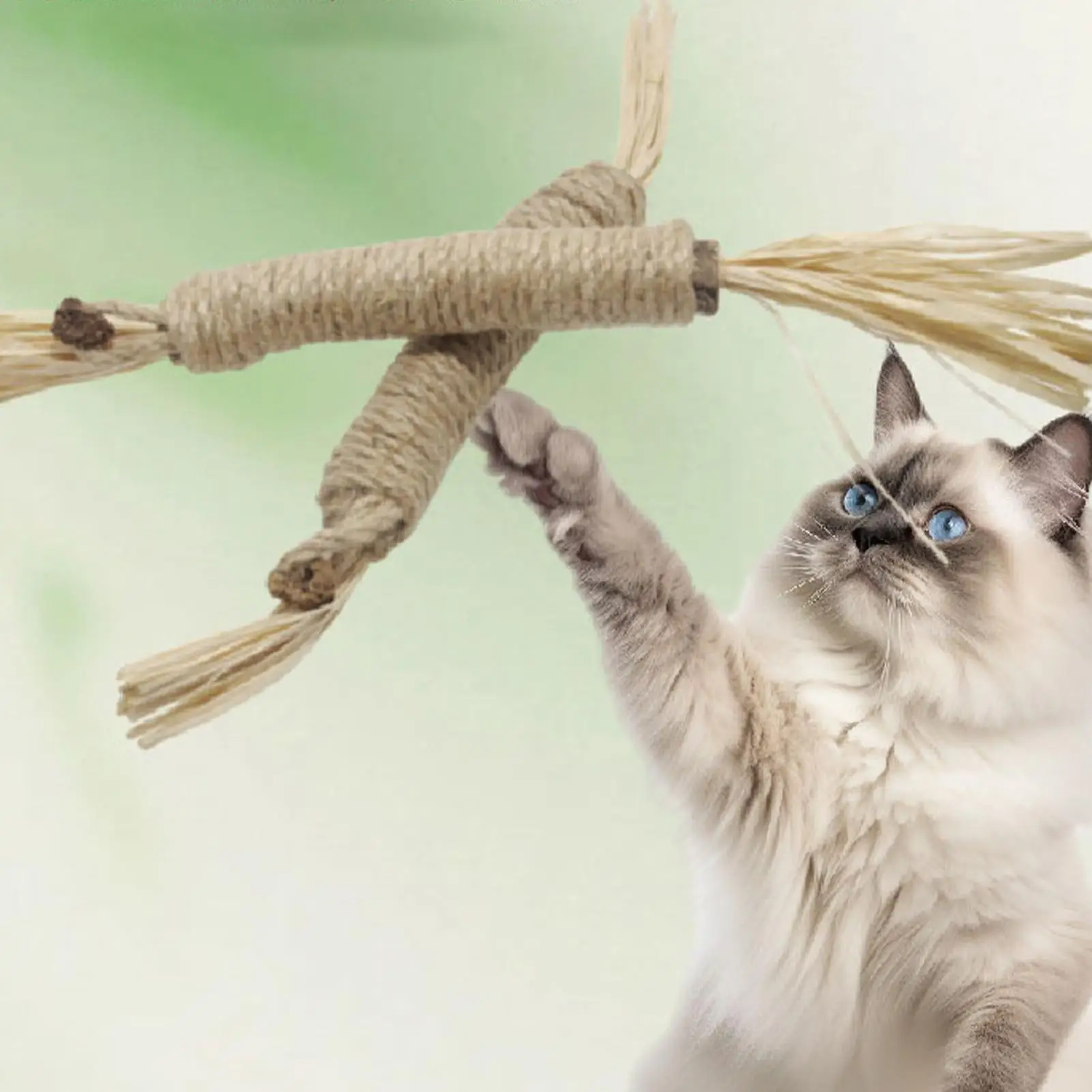 Catnip Cat Toys Natural Pet Cat Snacks Stick Cleans Tooth Removers Hair to Promote Digestion Silvervine Kitten Chew Toy