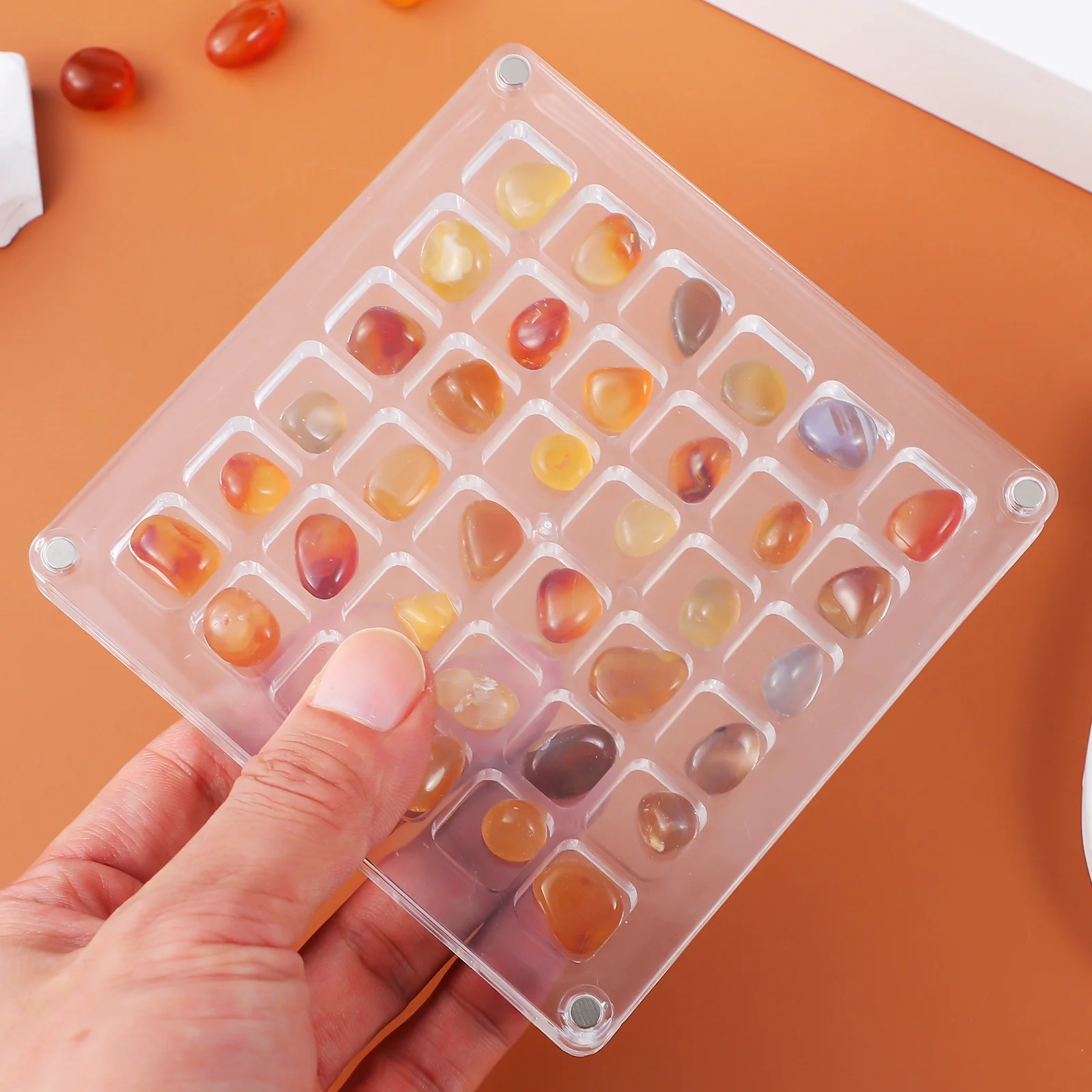 

36 Grids Acrylic Display Box For Shells Clear Trinket Storage Case Jewelry Organizer Rock Collection Holder Seashell Display