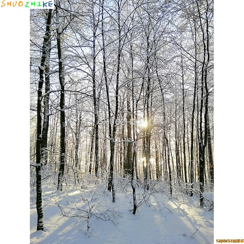 الشتاء الغابات الثلوج الطريق خلفيات للتصوير الفوتوغرافي عدم وضوح المشهد الثلج الطريق شجرة التنوب خلفية الصورة XD-12