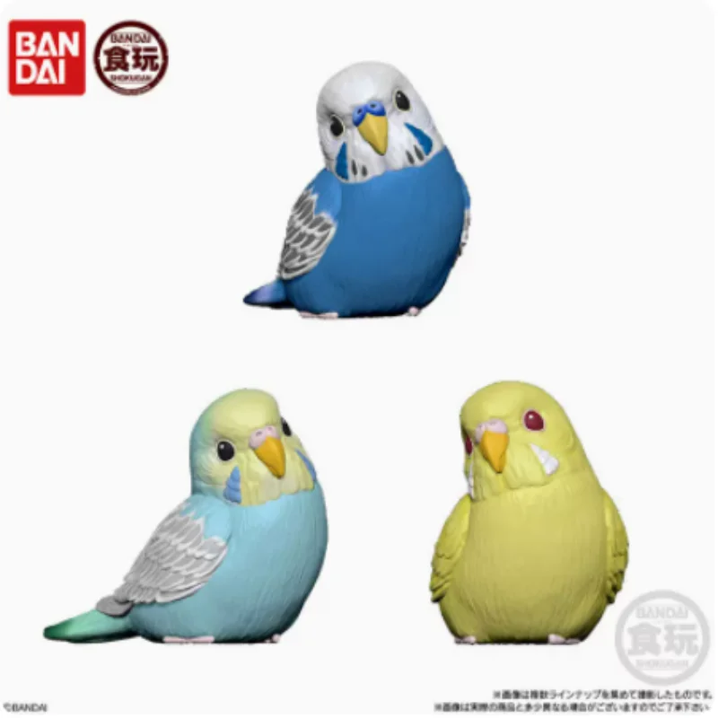 Original Bandai Gashapon Candy Food Qversion Mini Little Birds In The Palm Strigiformes Balaeniceps Rex Model Action Toys Gifts