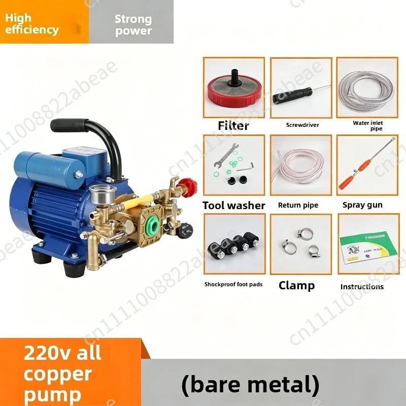 Electric Garden Sprayer Plunger Pump High Pressure Machine for Household Small Farm Fruit Tree Pesticide Application