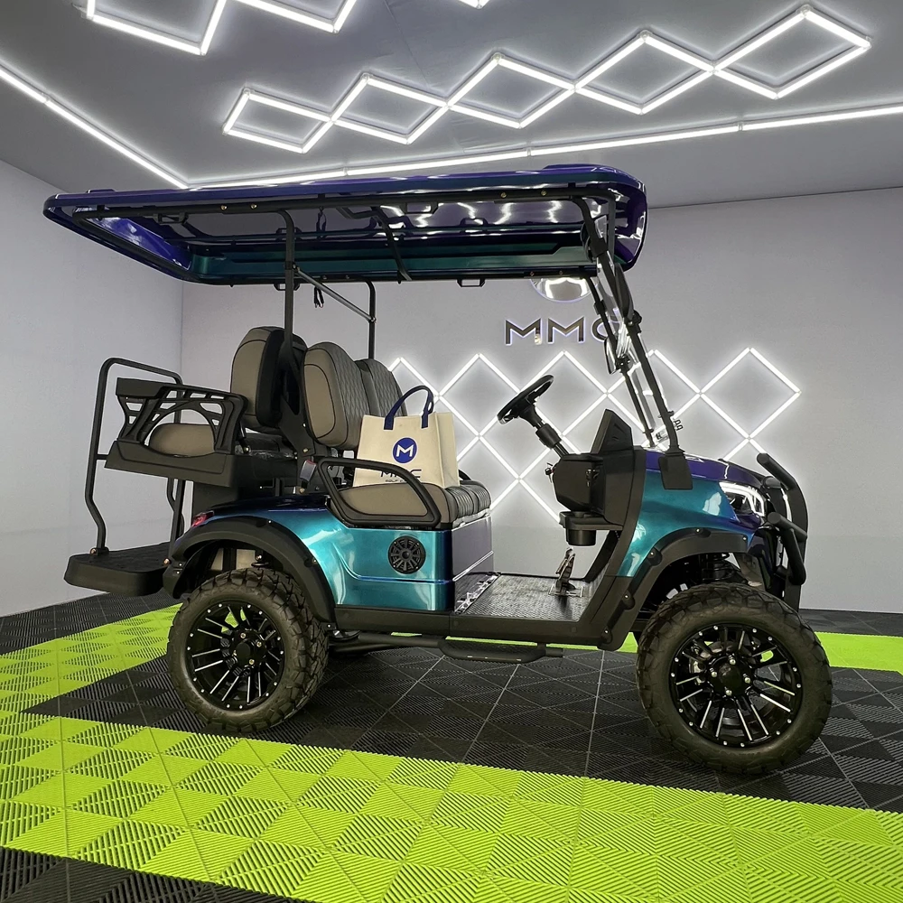

New Custom Electric Golf Cart 2 Person Lithium Battery Long Endurance Hunting Cart Golf Cart With High End Seats