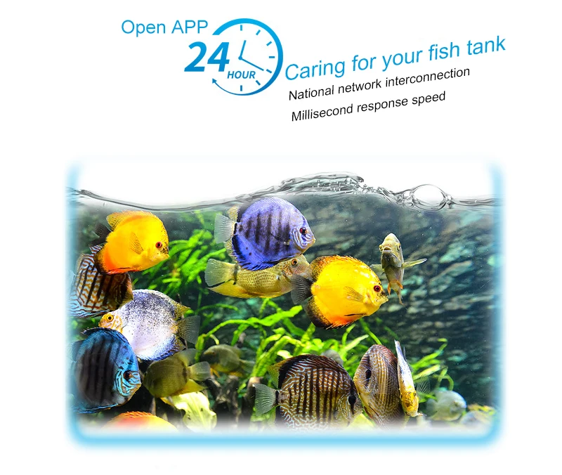Automatic Aquarium Fish Tank Food Feeder Timing/Wifi Wireless Intelligent Mobile APP Voice Control Remote food dispenser