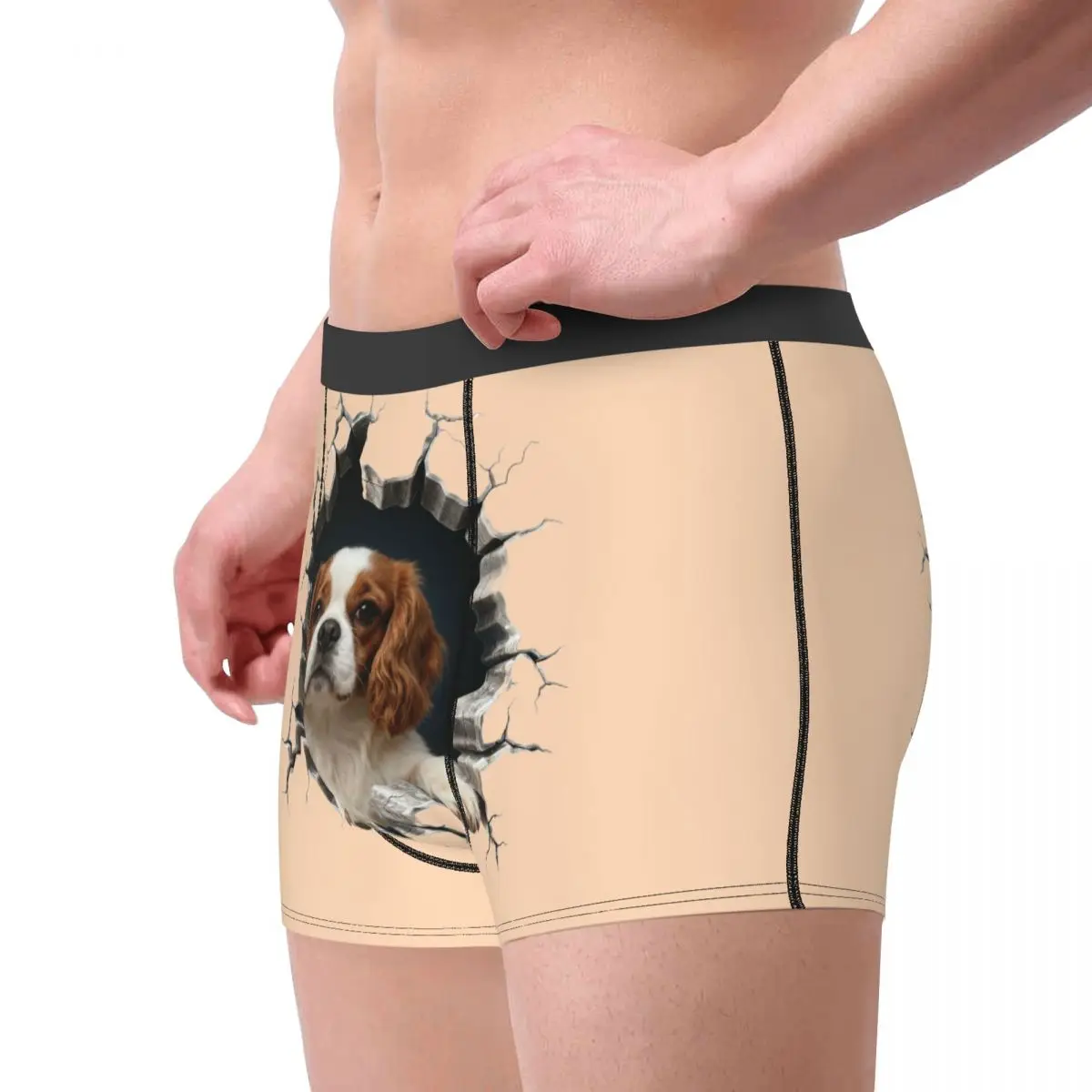 Cavalier King Charles Spaniel ropa interior del Día de San Valentín hombre impreso amante de los perros Boxer calzoncillos cortos bragas calzoncillos suaves