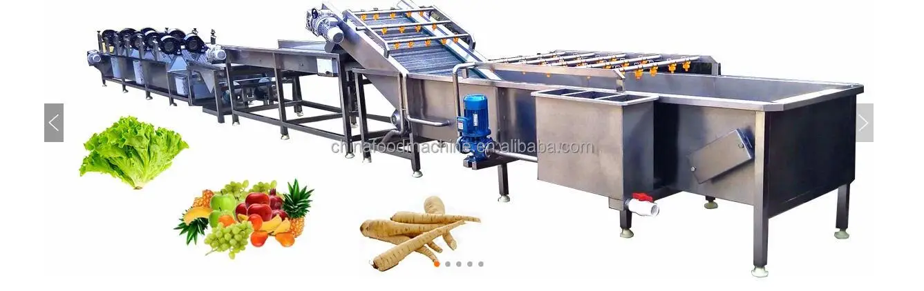 Best Price  Automatic Vegetable Fruit Cleaning Washing Machine Tomato Carrot Washing Machine