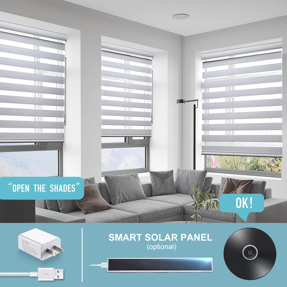 Electric Blackout Blinds Smart Motorized Zebra Shade Curtains Automatic Double Layer Zebra Blind For Window