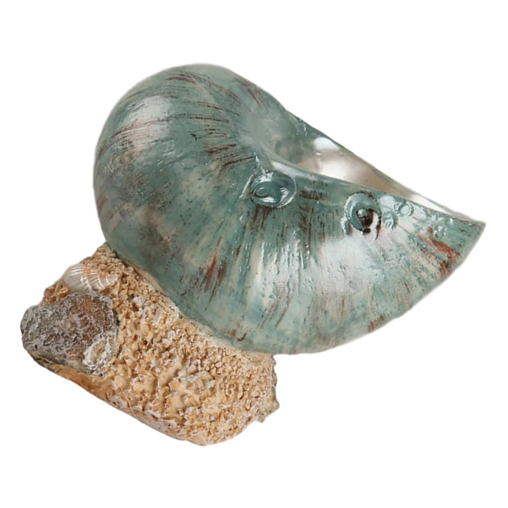 

Realistic Shell Statue Conch Ornaments Home Decor Beach Bathroom Sculpture DIY Craft Seashell Display Coastal Table