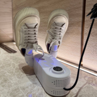 Folding Quick-drying Activated Carbon Antibacterial Deodorization Time Constant Temperature Automatic Shoe Drying Machine