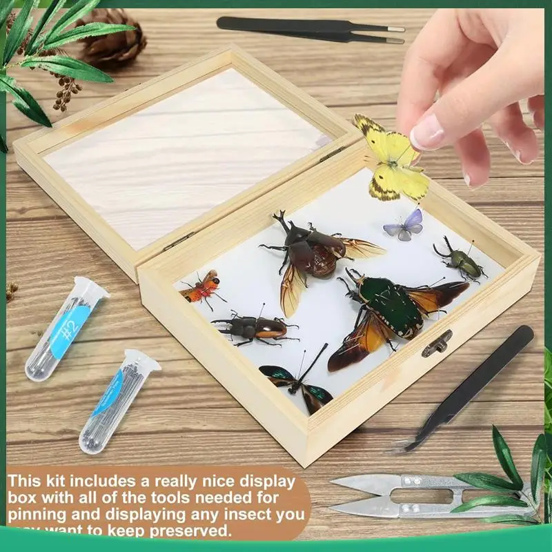 

(NEW) Making Insect Specimen Tools Kit, Insect Specimen Collection Display For Bug Hobbyist/Biology Projects
