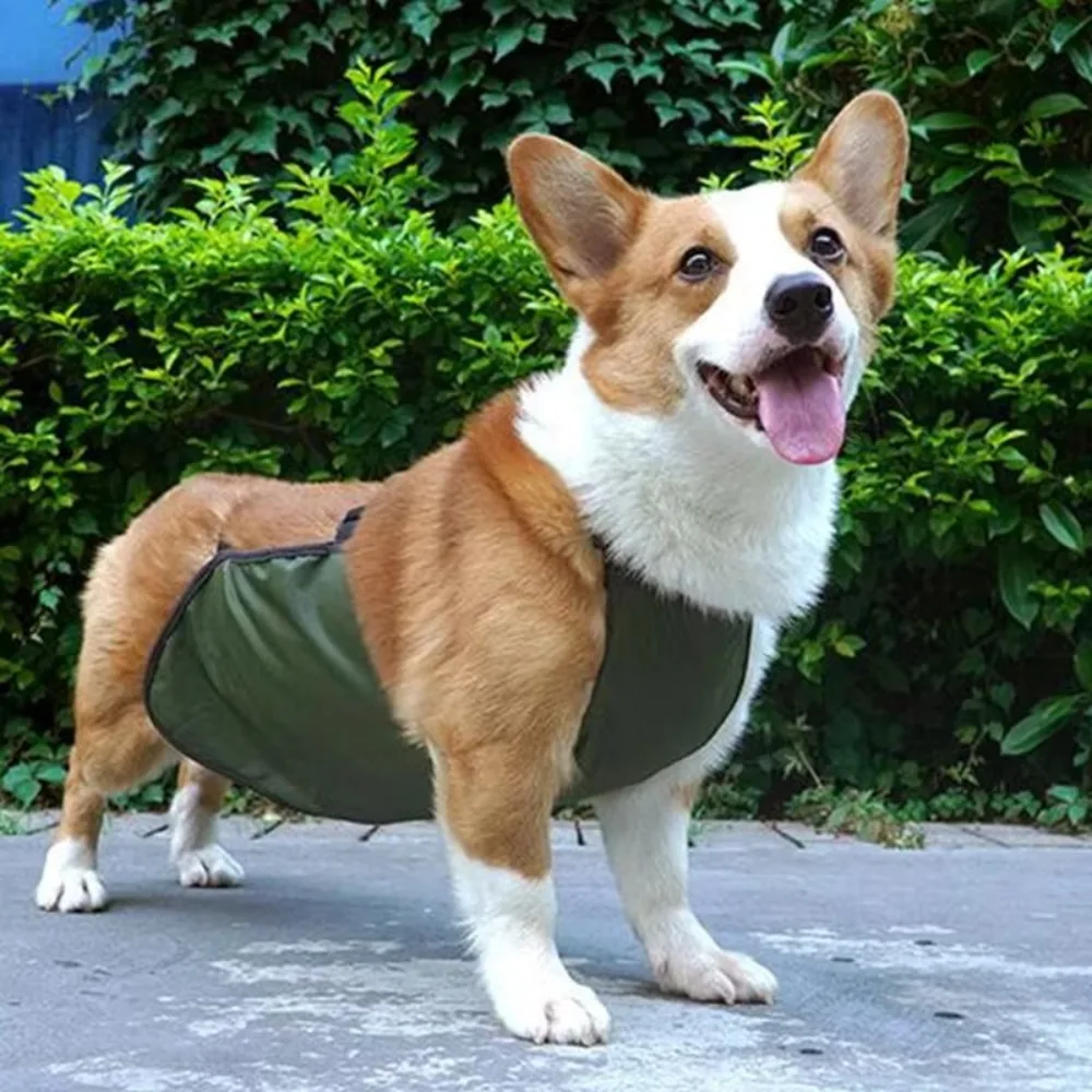 

Durable Waterproof Pet Dog Bellyband Clothes Anti-dirty Breathable Dog Costume Windproof Pet Vest Pet Supplies