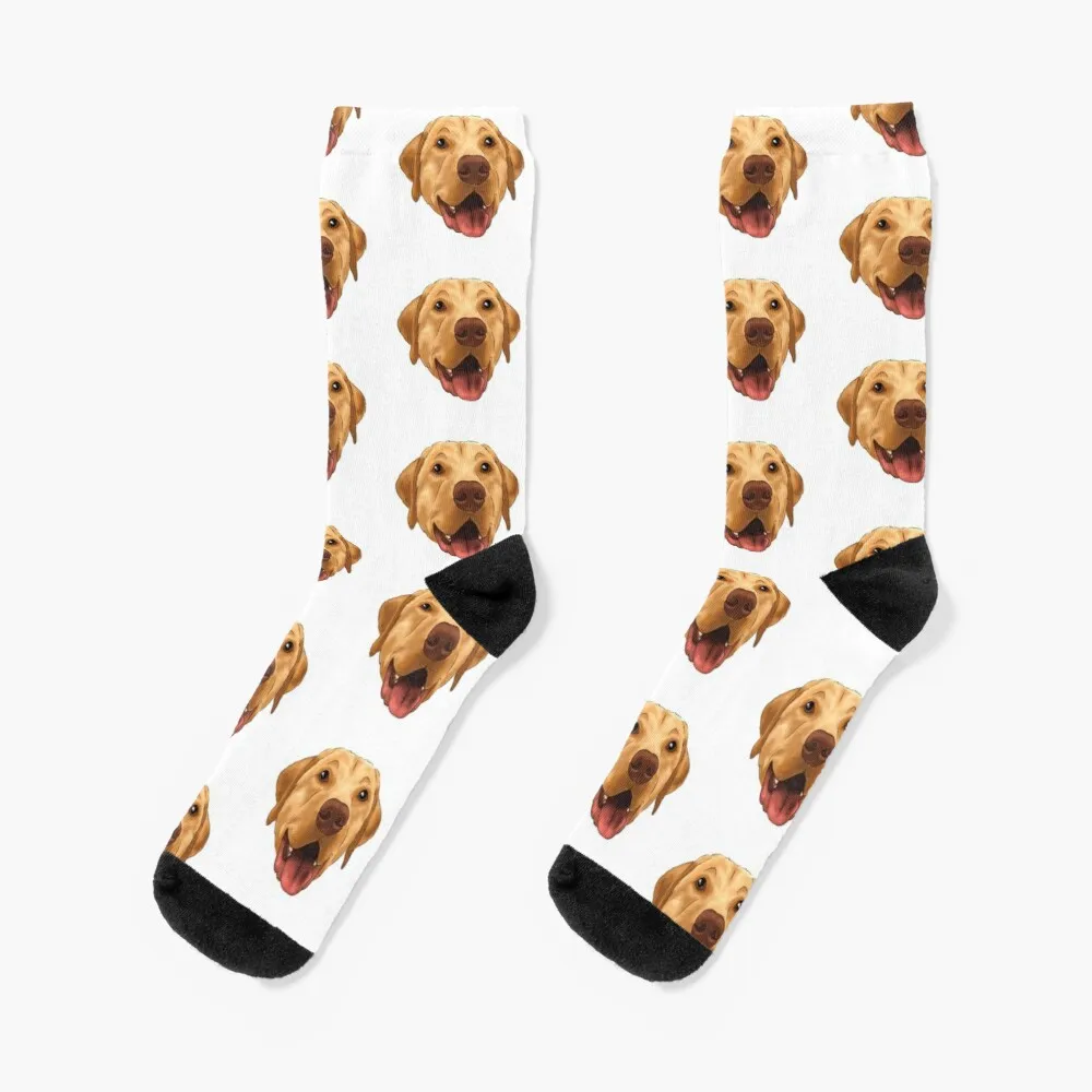 

Yellow Lab Portrait Socks Compression Stockings