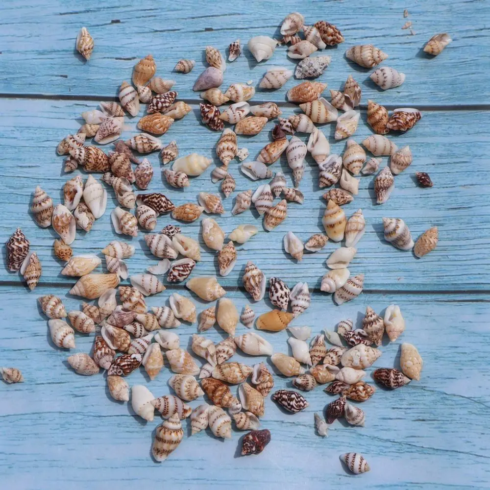 Natural Sea Shells Conchs Bulk Assorted Mix For Aquarium Decoration Fish Tank Landscaping Crafting Ornament Supplies