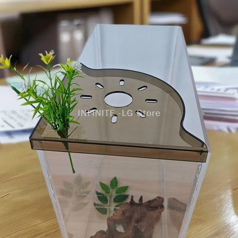 Fish Tank Mount Corner Shelf with Hydroponics Green Plant Tray, Punch-free Storage Rack Landscape Bracket