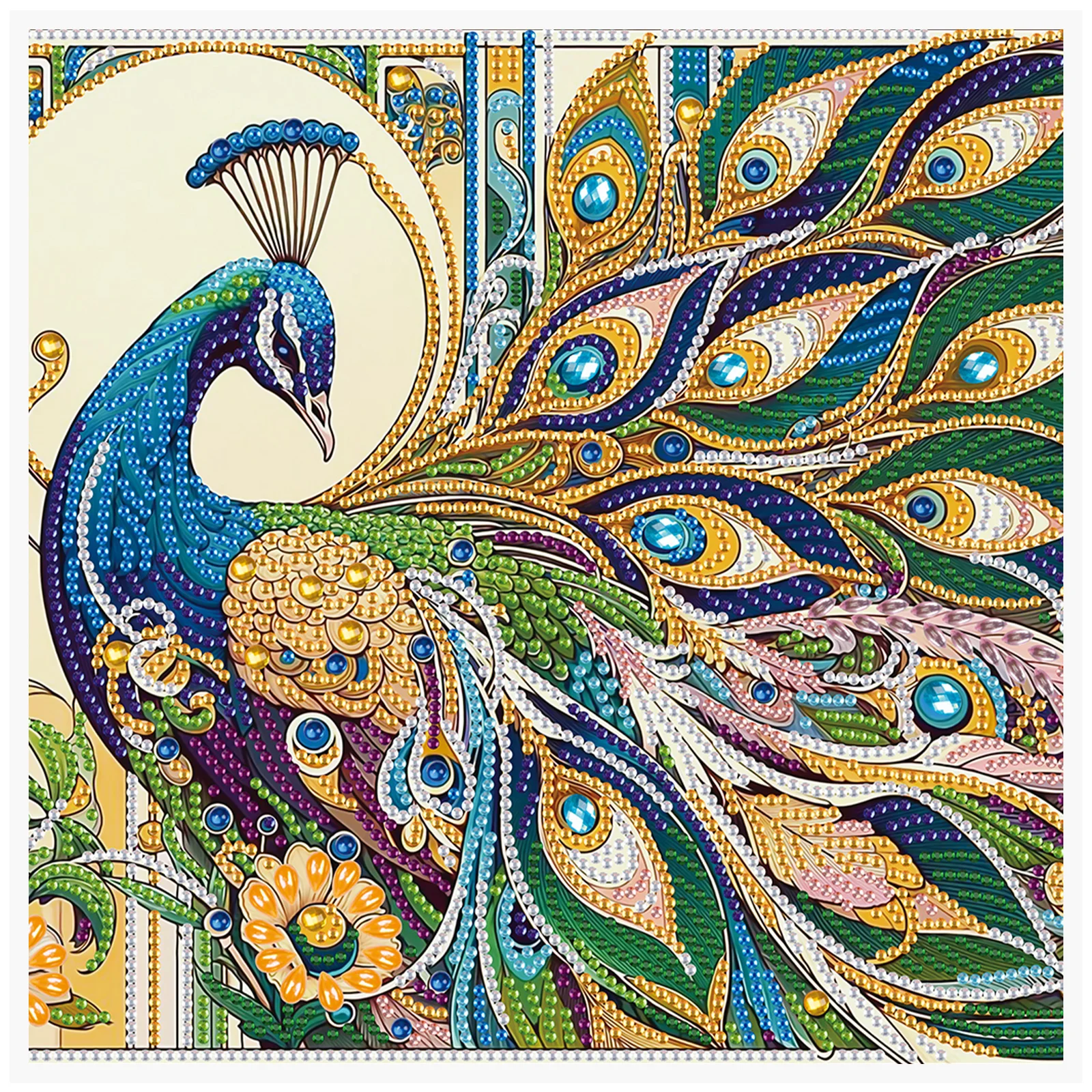 Special Shape Diamond Art Kits for Beginners and Adults,DIY peacock Diamond Art Painting Kits for Home Wall Decoration Gifts