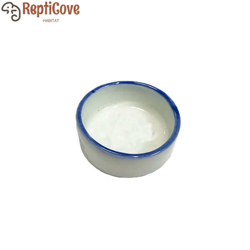 Mini Ceramic Water Bowls for Reptiles and Insects,Food Bowls for Crickets,Mantises,Grasshoppers,Spiders,Scorpions,Palace Guards