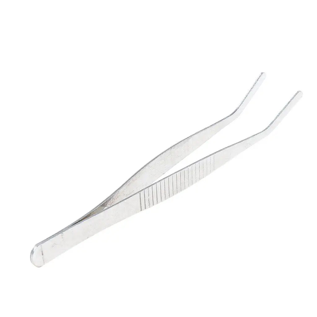 Curved Round Tip Stainless Steel Tweezers 12 cm/ 4.7 inch Lab