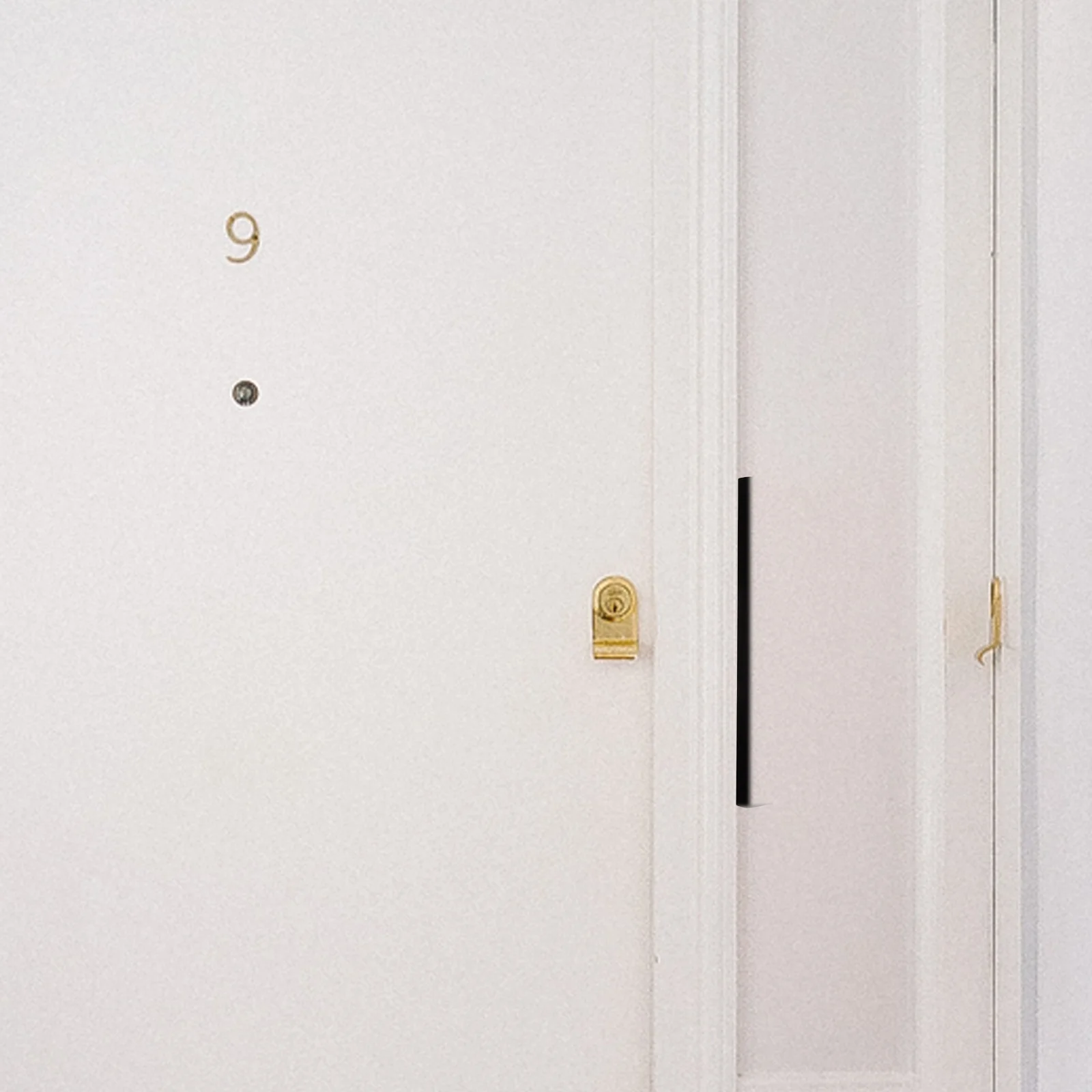 

Door Latch Guard Latches Lock and Reinforcement Plate Outswing Security Protector Shield Key Travel