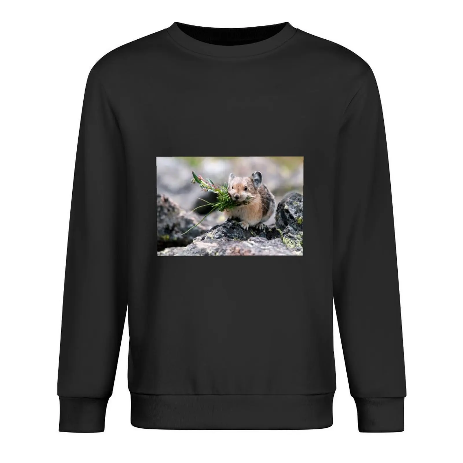 

Lots of flowers Pullover clothes for men autumn new products anime clothes men's autumn clothes new in hoodies & sweat-shirt