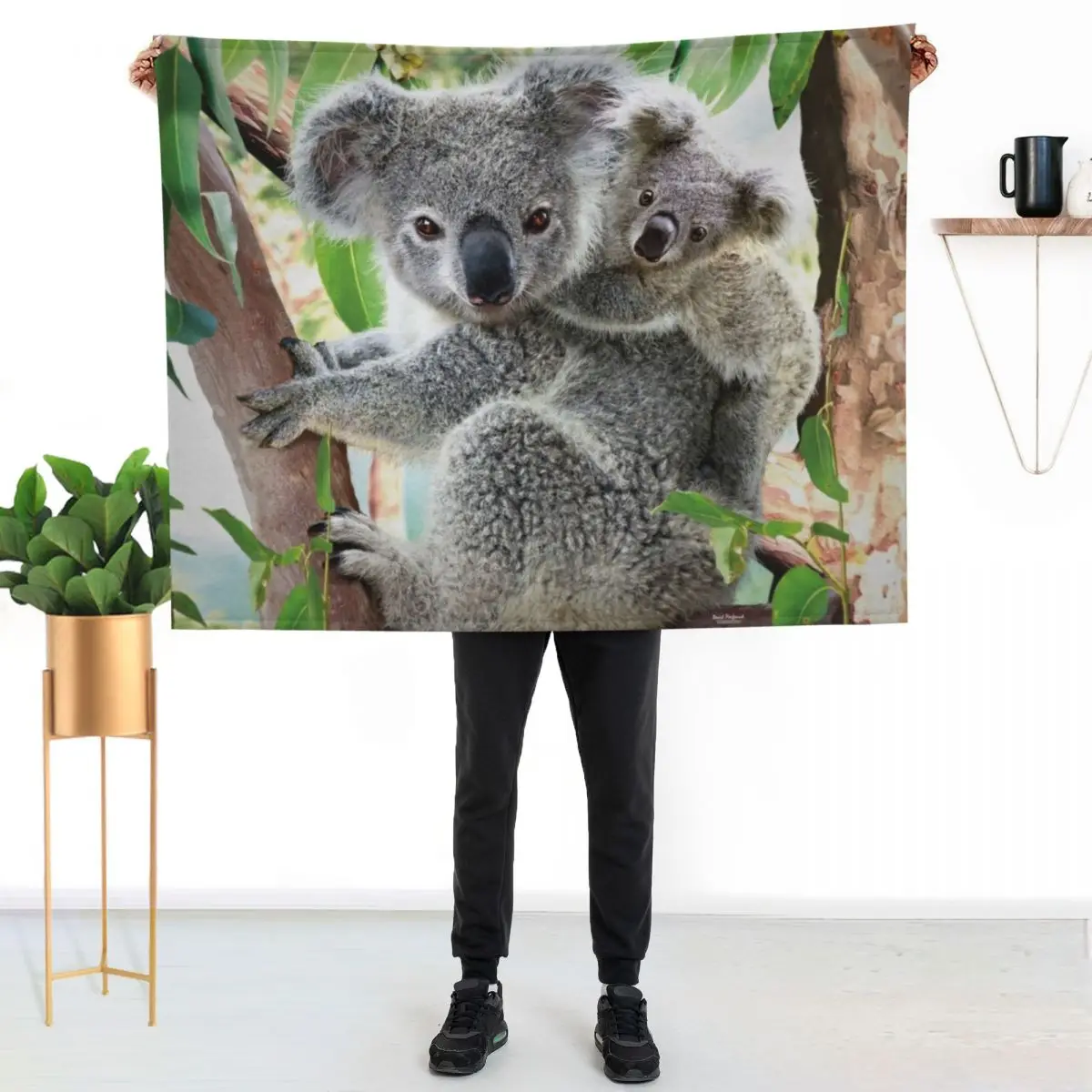 Koala Cuddles Throw Blanket Sleeping Bag Decorative Sofa Hair Blankets For Baby for sofa Soft Beds Blankets