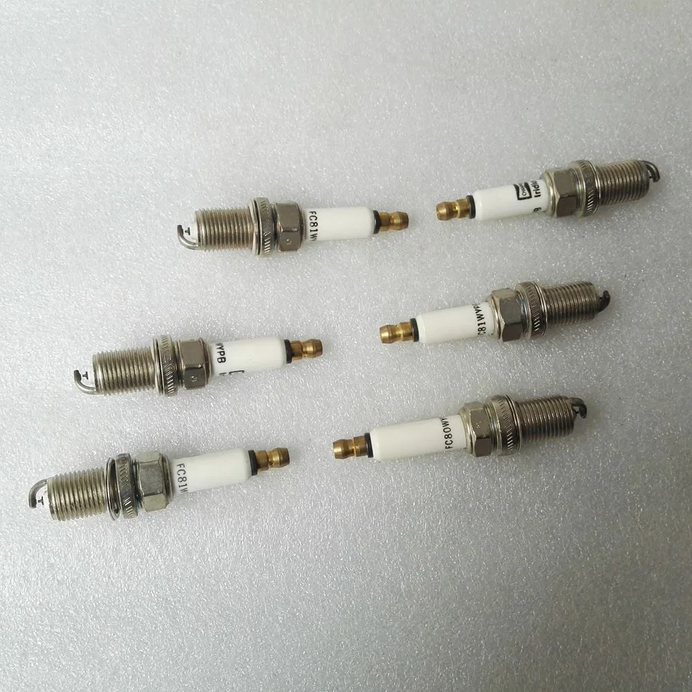 Isc8.3 Cge8.3 Natural Gas Spark Plug 4089085 4924504 3973945