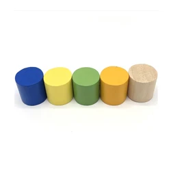 Piezas de ajedrez de cilindro de madera para juegos de mesa, juego de cartas divertido, accesorios educativos, 20x20mm, 10 unidades por juego