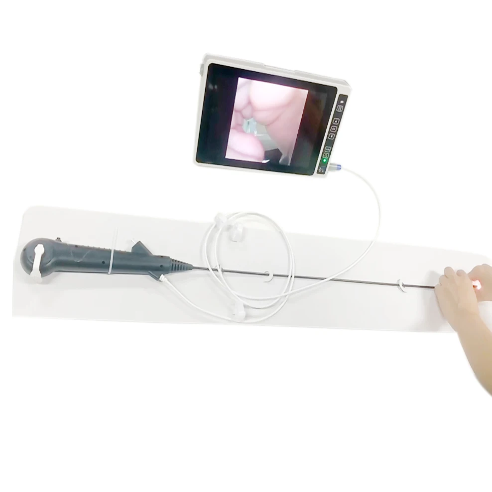 Video ureteroscope with processor