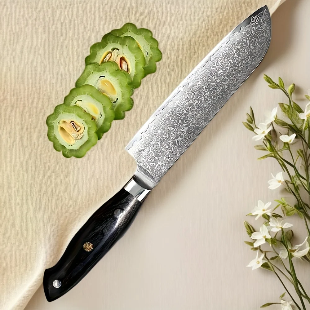 

VG-10 High Carbon Steel Core 67-Layer Damascus Santoku Knife, Precision Forged, Professional Chef Knife