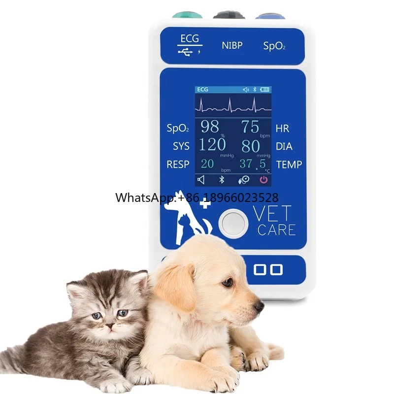 BERRY AM6200 Pet health care Pet health monitor Portable multipara meters pet health monitor