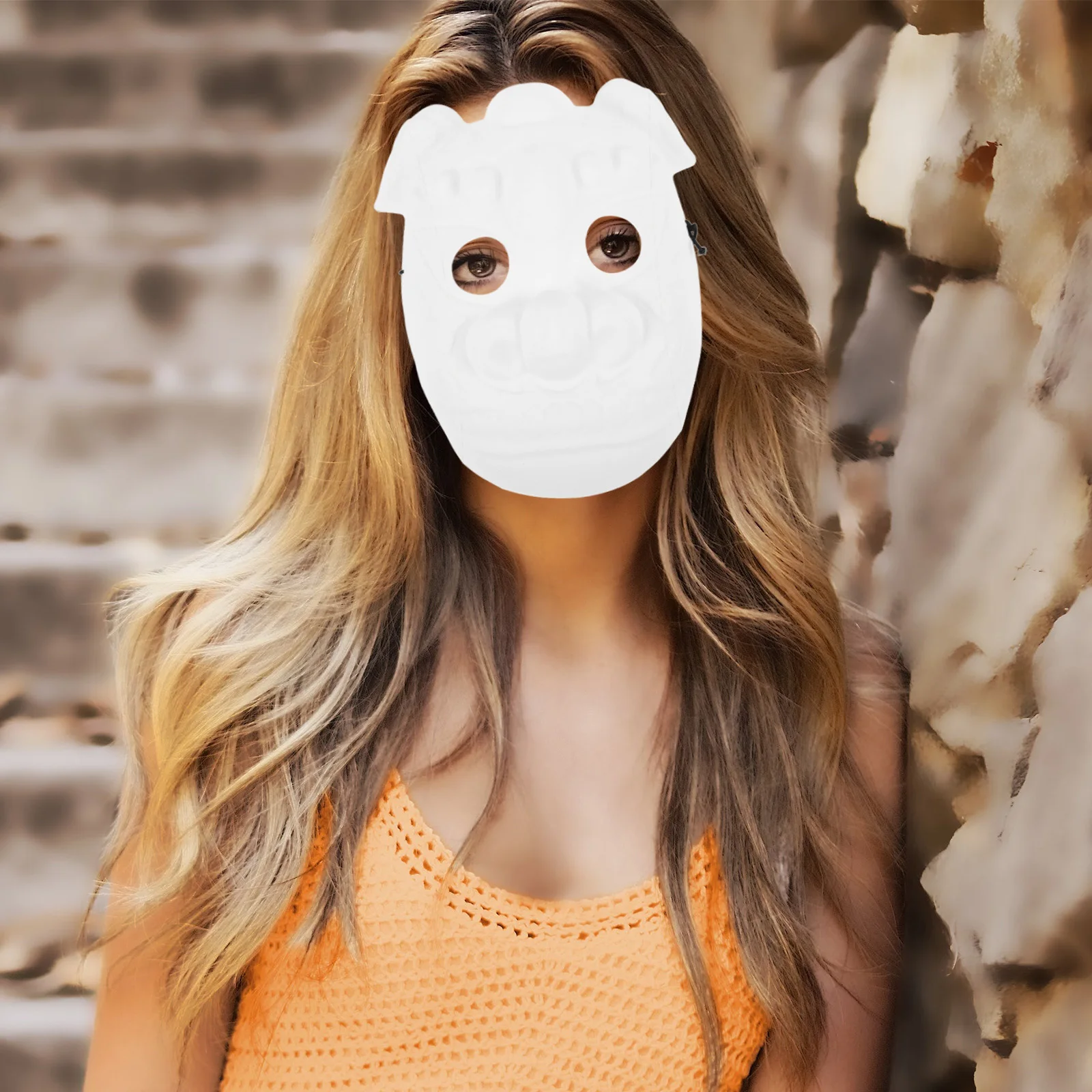 

Animal Mask Cosplay Diy Masquerade Masks For Party Bulk Paintable Blank to Decorate