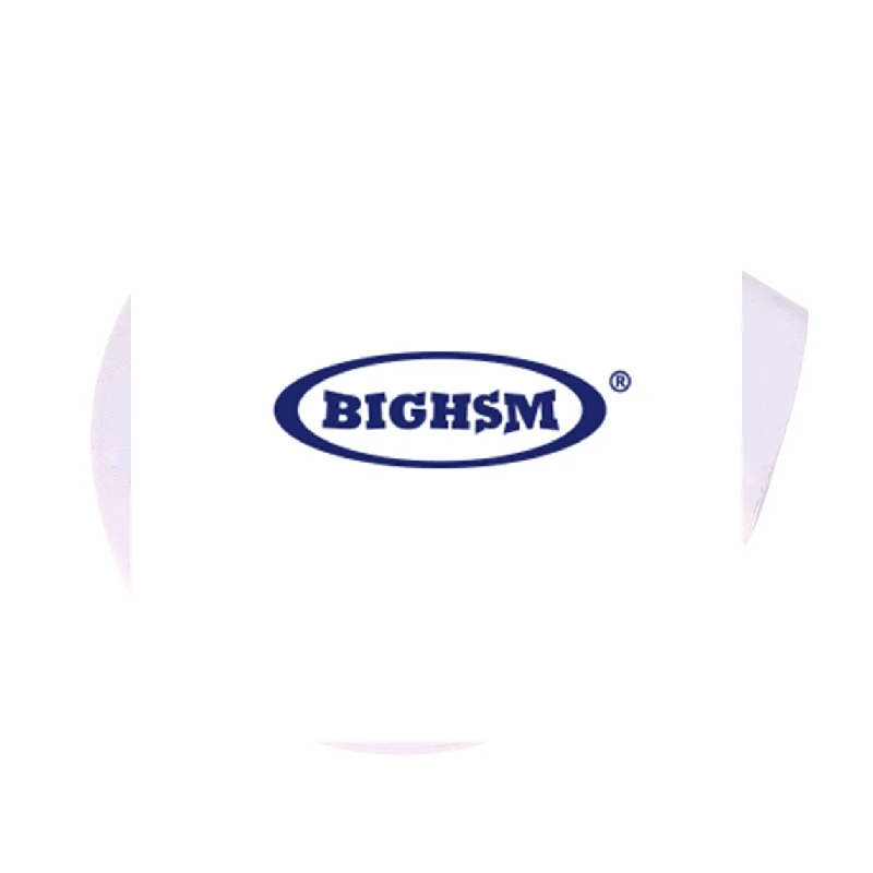 2KPa 20N704P200 Fan Motor ForRoborock S50/S51/S52/S55 Pure Robot Vacuum Cleaner Dust Collector Parts Replacement