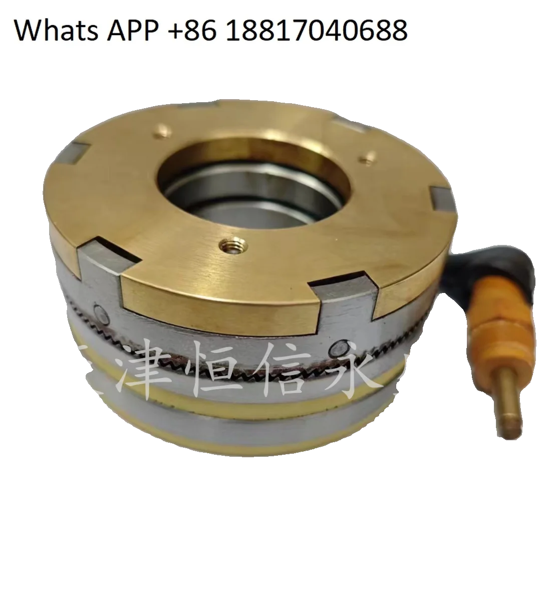 Frizione elettromagnetica a denti serie DLY5 (contatta il servizio clienti per più dimensioni)