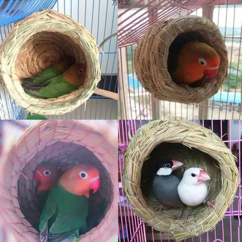 8 best sales चिड़ियाघर - №7