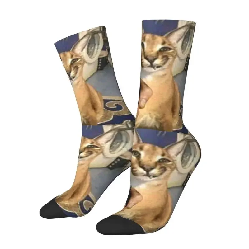 Fun Print Big Floppa Gangsta Cat Socks for Men Women Stretch Summer Autumn Winter Crew Socks