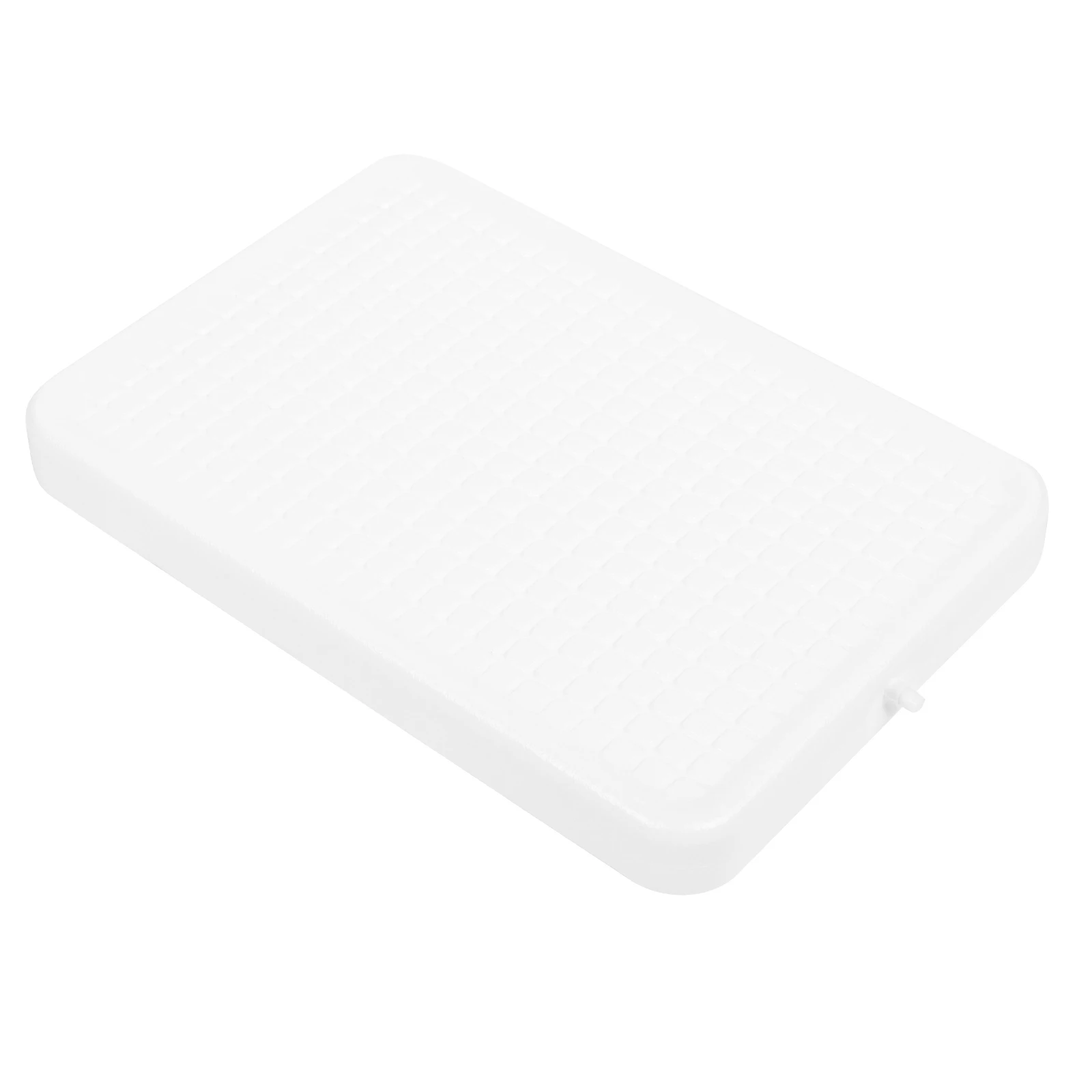 

Sushi Plate Mat Plastic Seafood Tray Sashimi Tray Sashimi Functional Tool Tool Serving Utensils