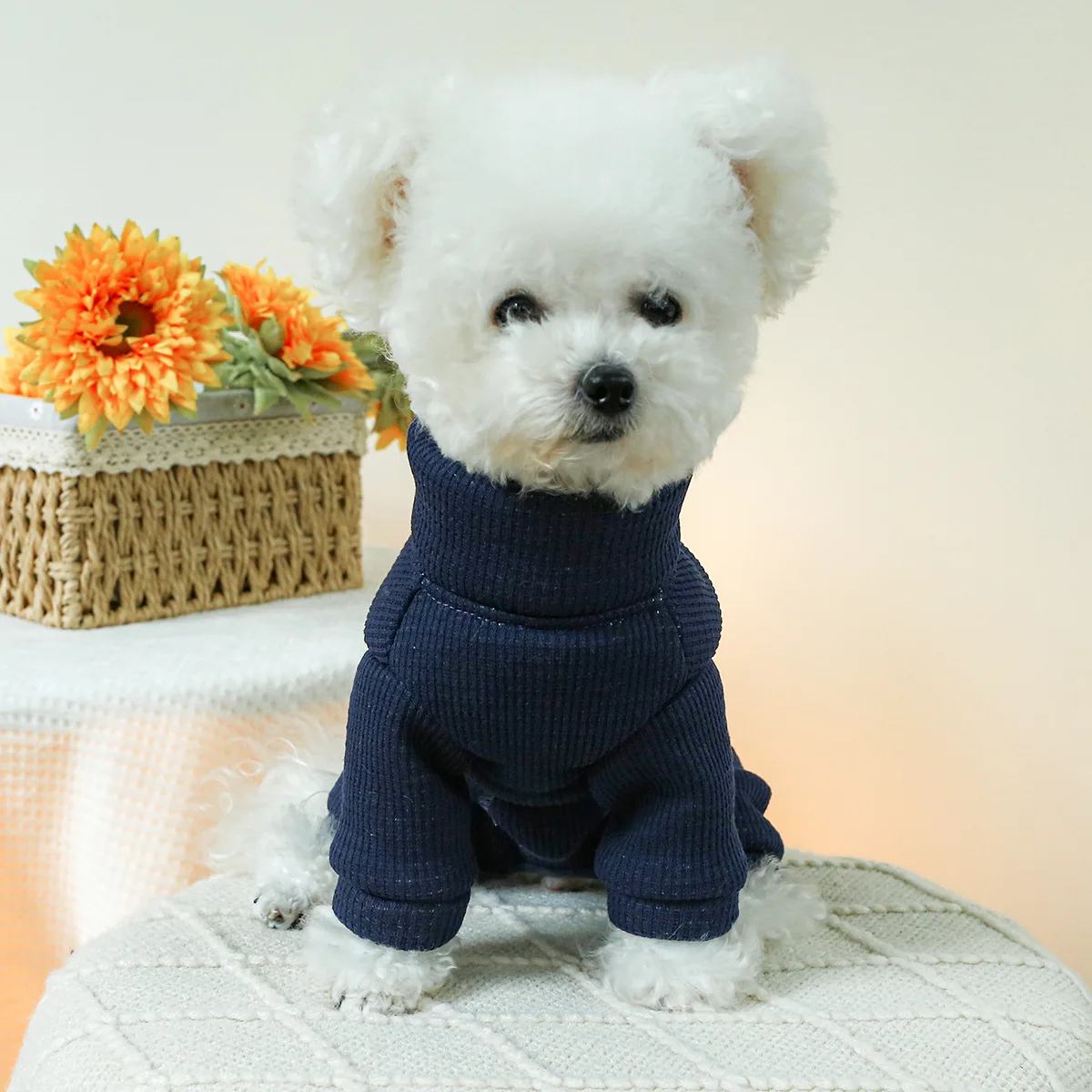 Winter Costumes for Dogs Autumn Warm Comfort Soft Red Blue Gray Puppy Clothes for Small Animal Male Female Fully Covered Belly