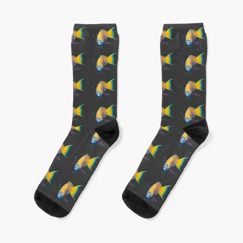 Parrotfish | What a striking make-up! | Socks custom anti slip football christmas gifts Women's Socks Men's