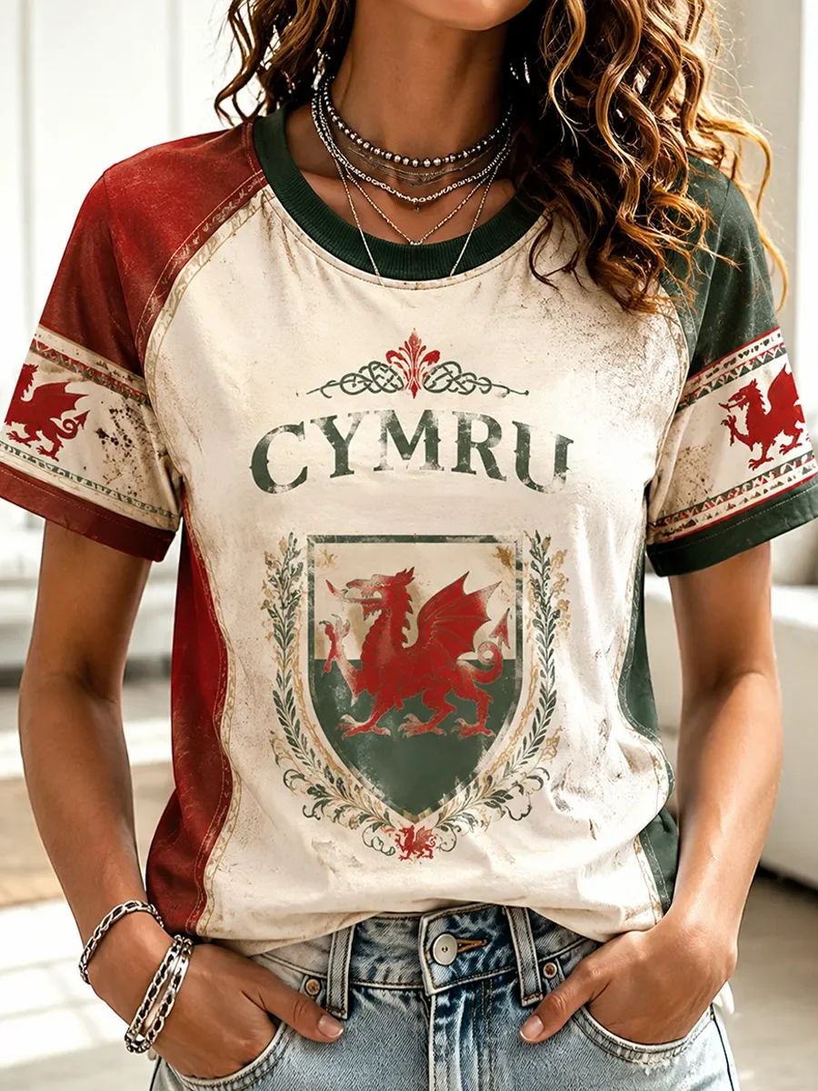 2027 Summer Men's Welsh Football Training Shirt 3D Printed Embroidery Breathable Quick-Drying Family Version T-Shirt Top Kids