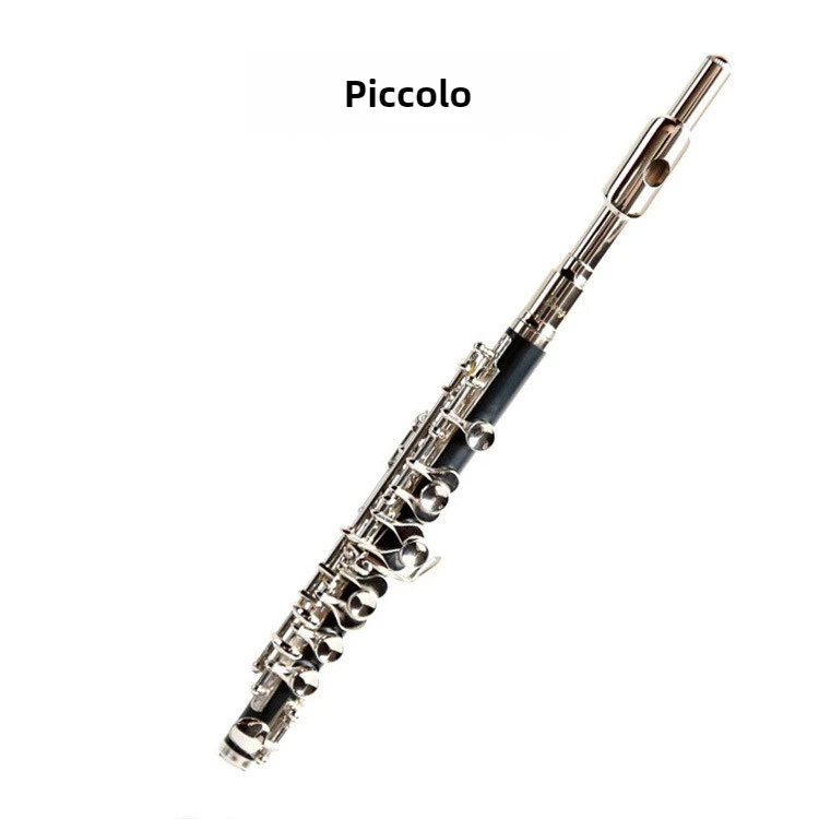 C Key Silver-Plated…