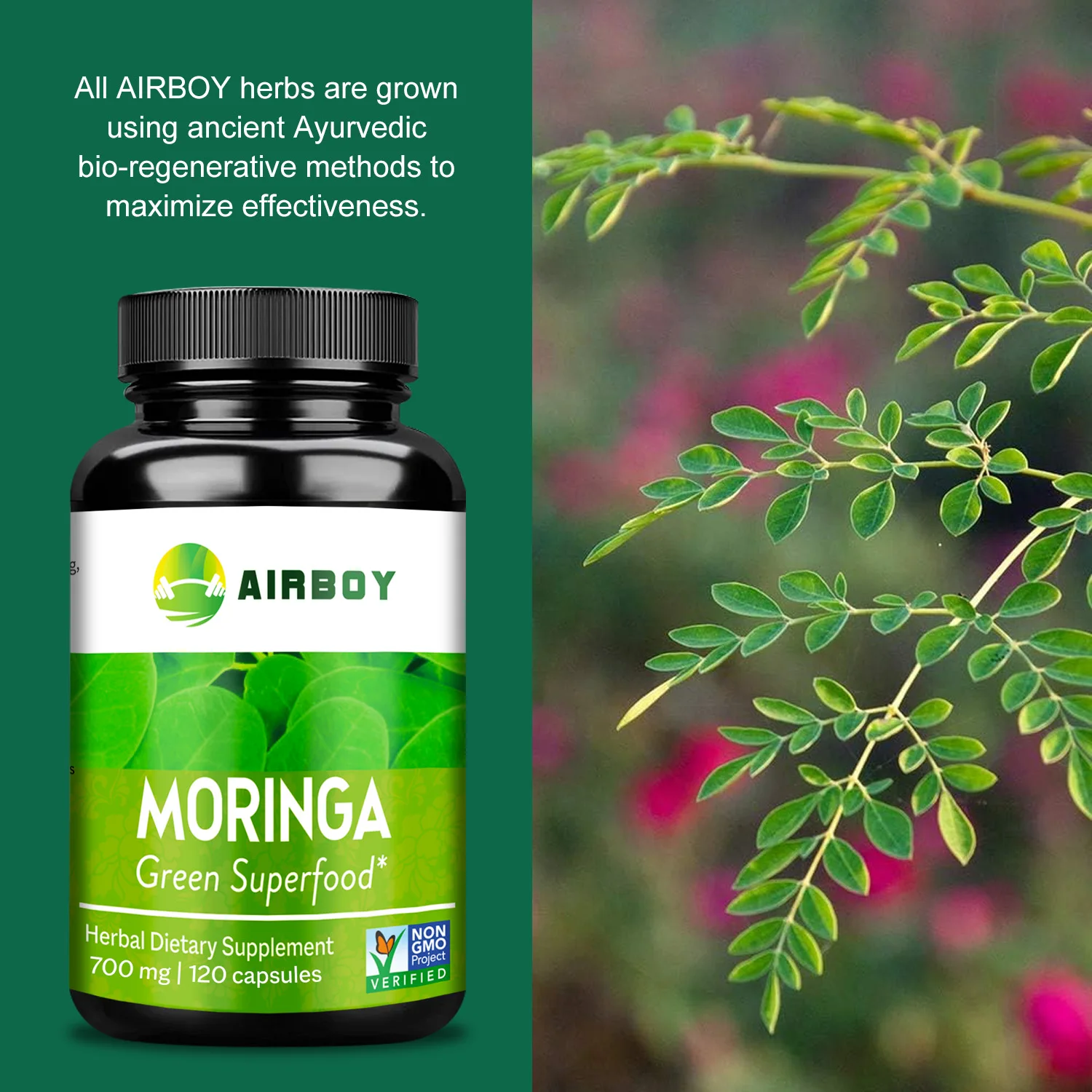 Organic Moringa Capsules - Relieve Joint Pain and Promote Energy Production