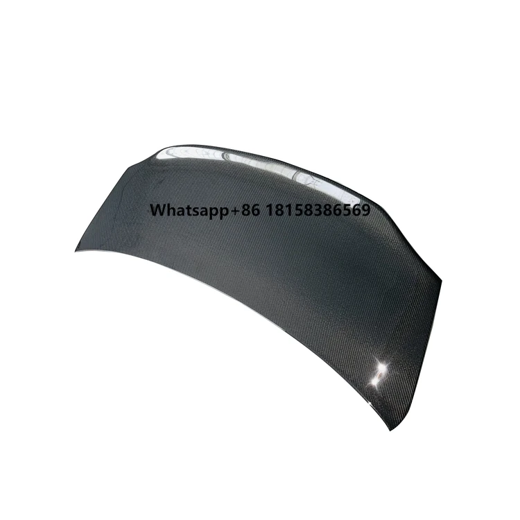 

Professional Supplier High Temperature Resistant Trunk Mini Roof Universal Rear Spoiler Wing