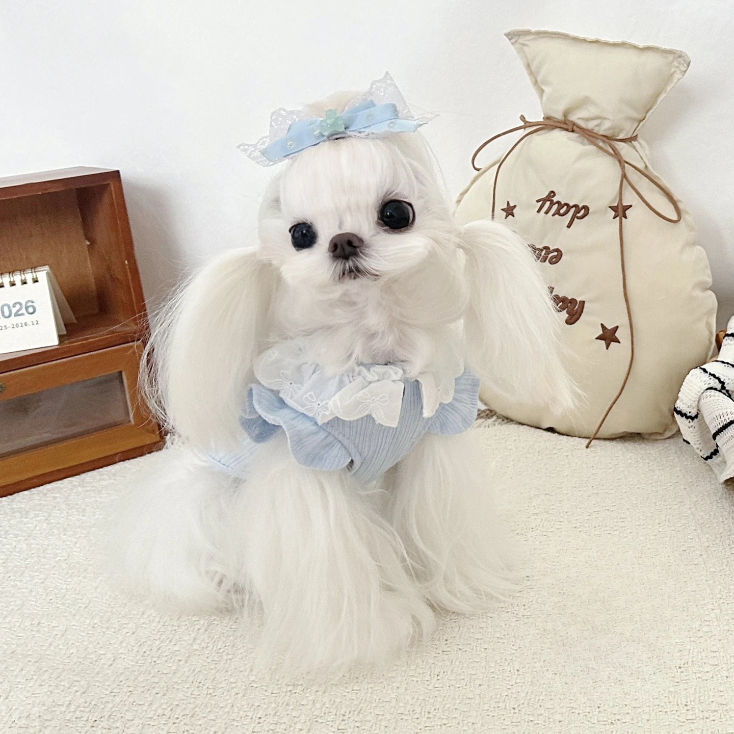 Pet Autumn and Winter Lace Flying Sleeve Base Shirt Cute Autumn and Winter Four Legged Jumpsuit Teddy Cat Winter Pajamas