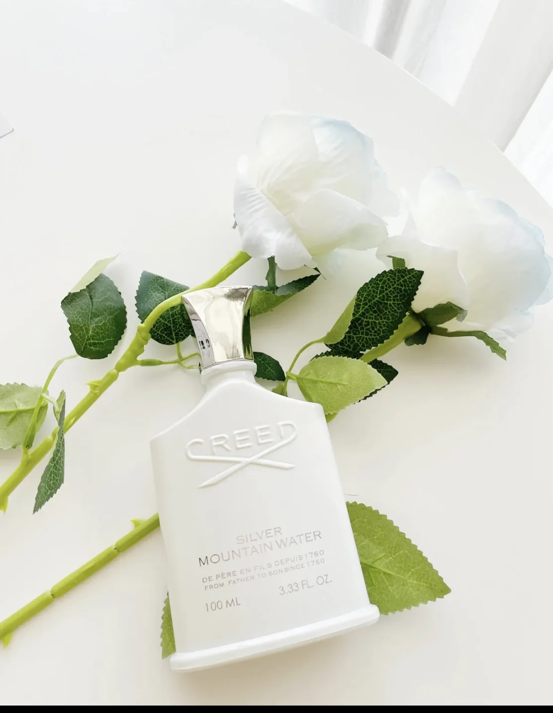 Parfum Silver Mountain Water t - Perfume Fragrance Levels ulasan dan harga