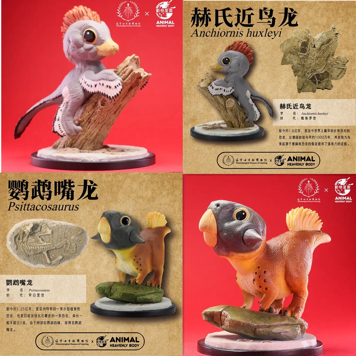 

ANIMAL HEAVENLY BODY Studio Anchiornis Huxleyi Model Psittacosaurus Dinosaur Toy