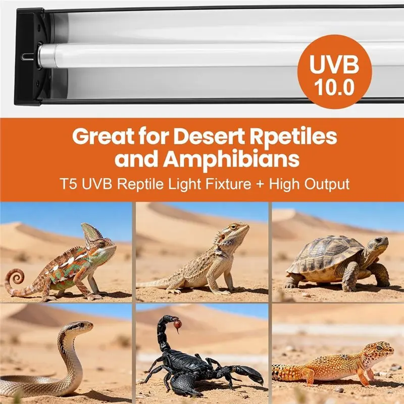 RMWIN-T5 HO UVB Reptile Light Fixture 24W, Includes 10.0 UVB Bulb High Output UVB Light For Reptiles, 22