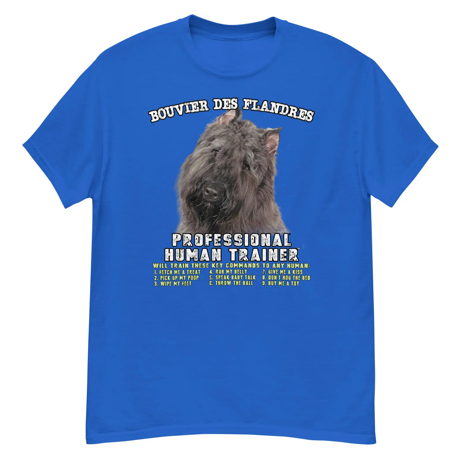 Bouvier des Flandres Professional Human Trainer T Shirt