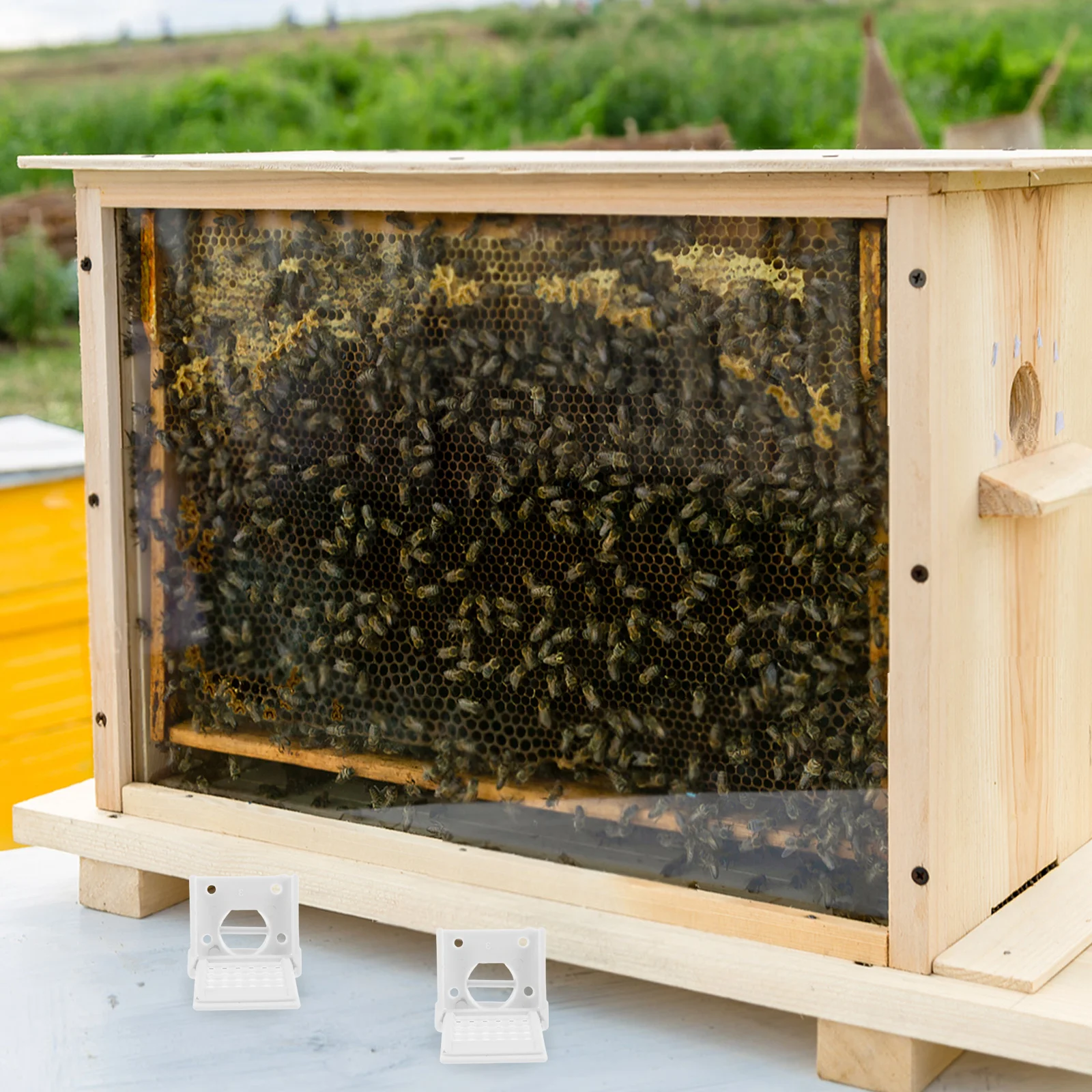 

4Pcs Beehive Door Guard Plastic Material Long Term Use Enhanced Security for Beehives and Beekeeping Supplies Beehive Door Guard