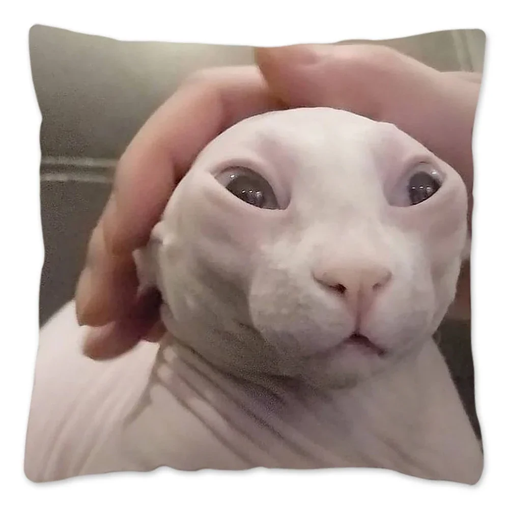 

Наволочка Bingus Cat Meme, украшение для дома, забавный чехол для подушки для дивана, гостиной, чехлы для дивана