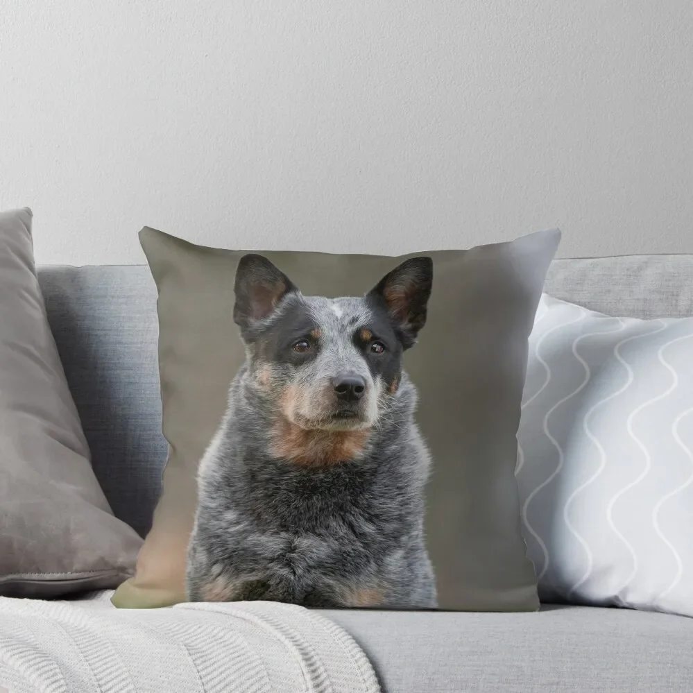 

Blue Heeler Australian Cattle Dog Photo Throw Pillow pillow pillowcase Luxury Cushion Cover